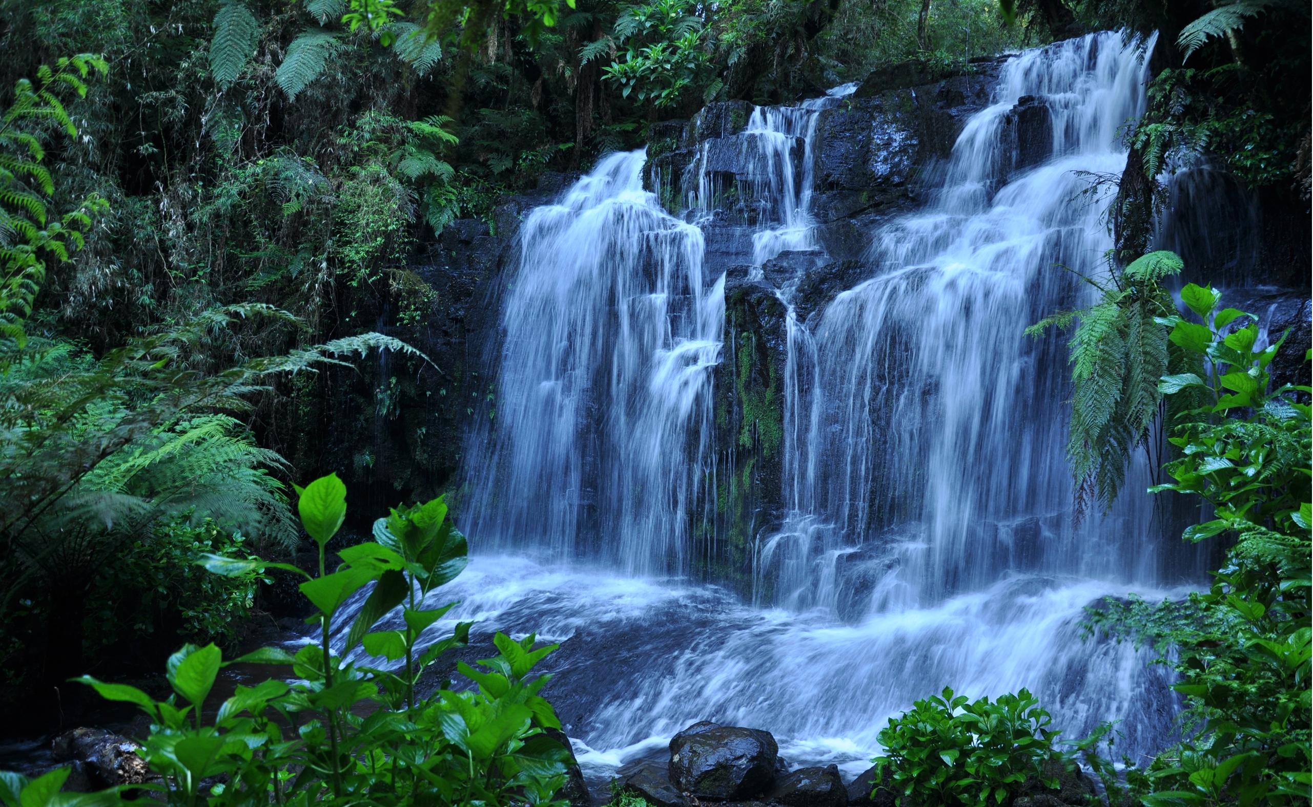 waterfall flow forest.jpg
