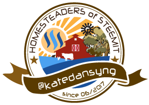 steemit-homesteaders-katedansyng-small.png