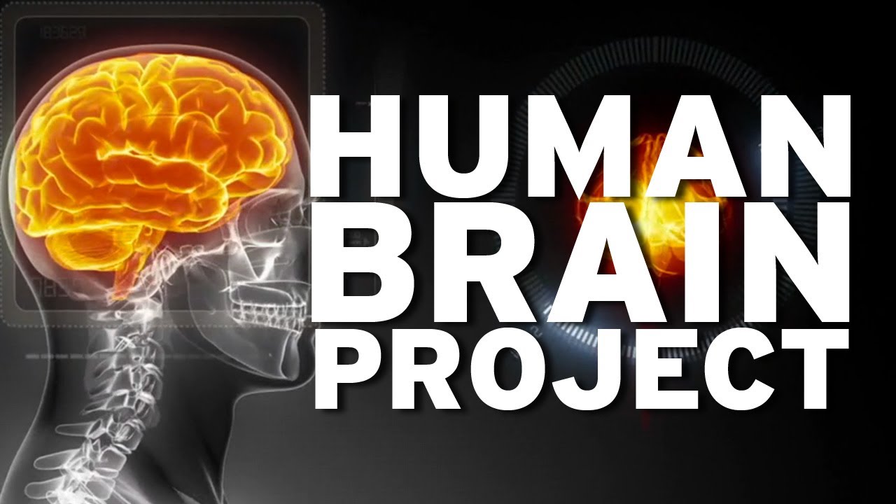 Brain project
