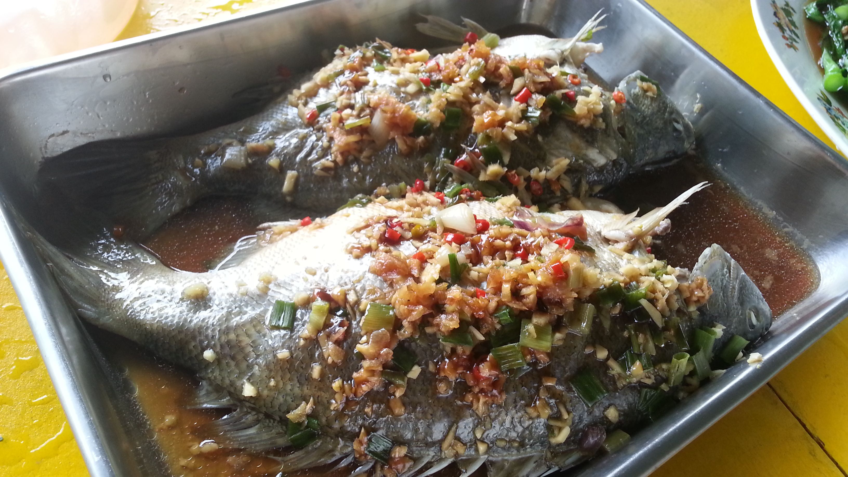 20130328_140427.jpg