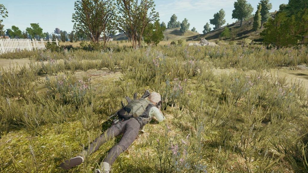 1271604884_preview_pubgkamuflajoagtr-1024x576.jpg