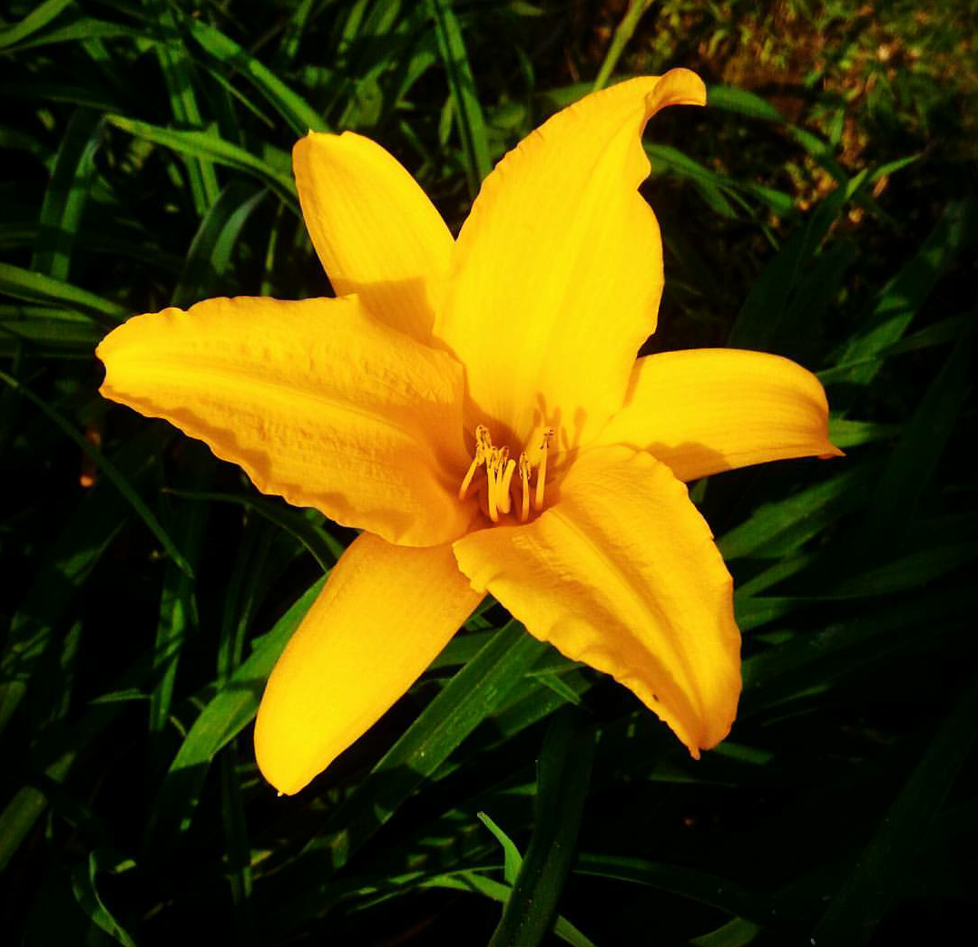 20170902_194350.png