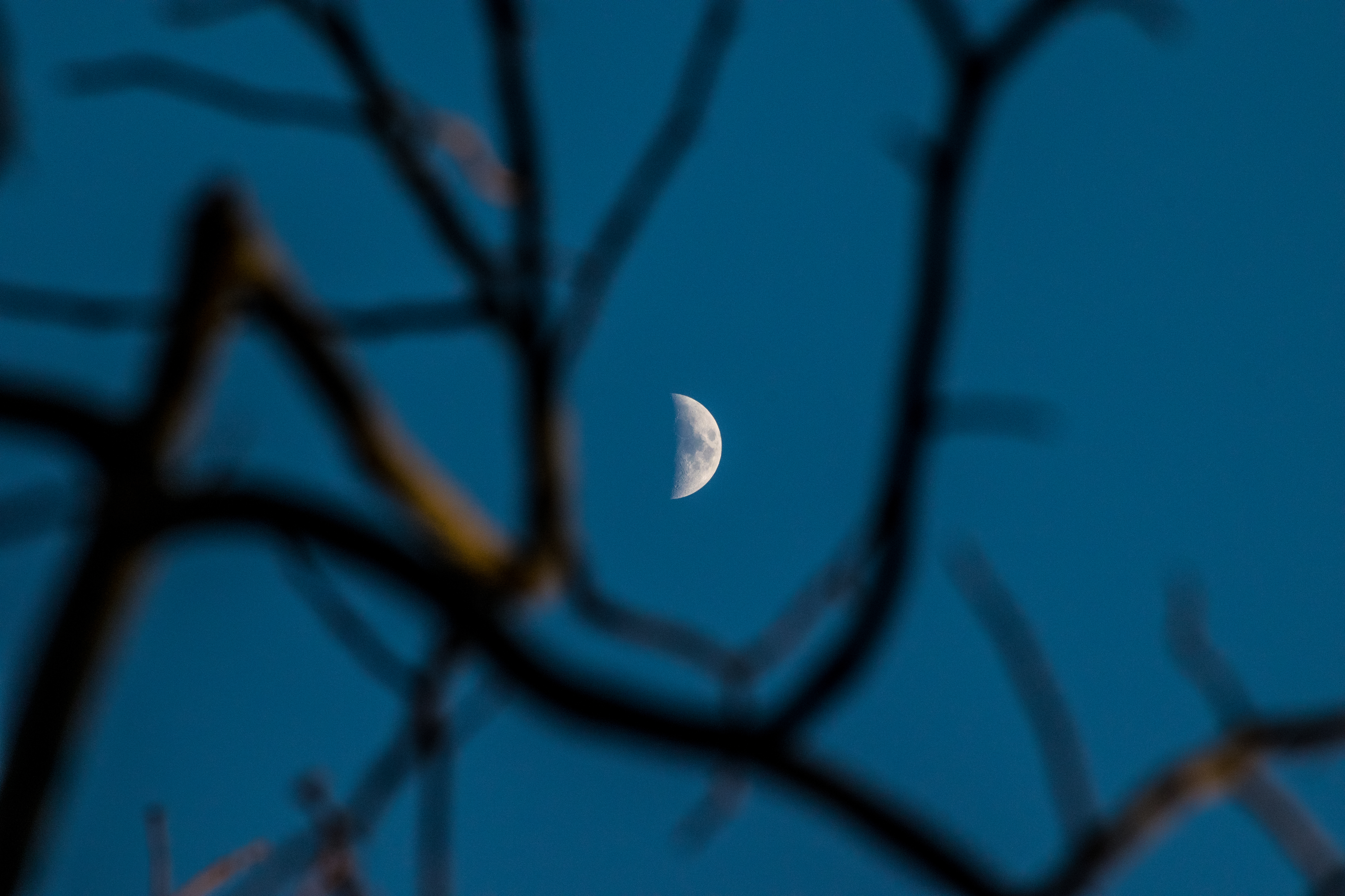 DSC_0118.jpg