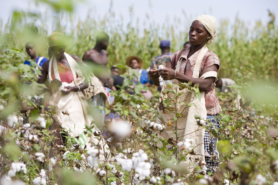 Cotton-made-in-Africa-organic.jpg
