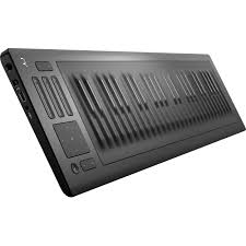 Roli Seaboard RISE 49 2500X2500.jpg