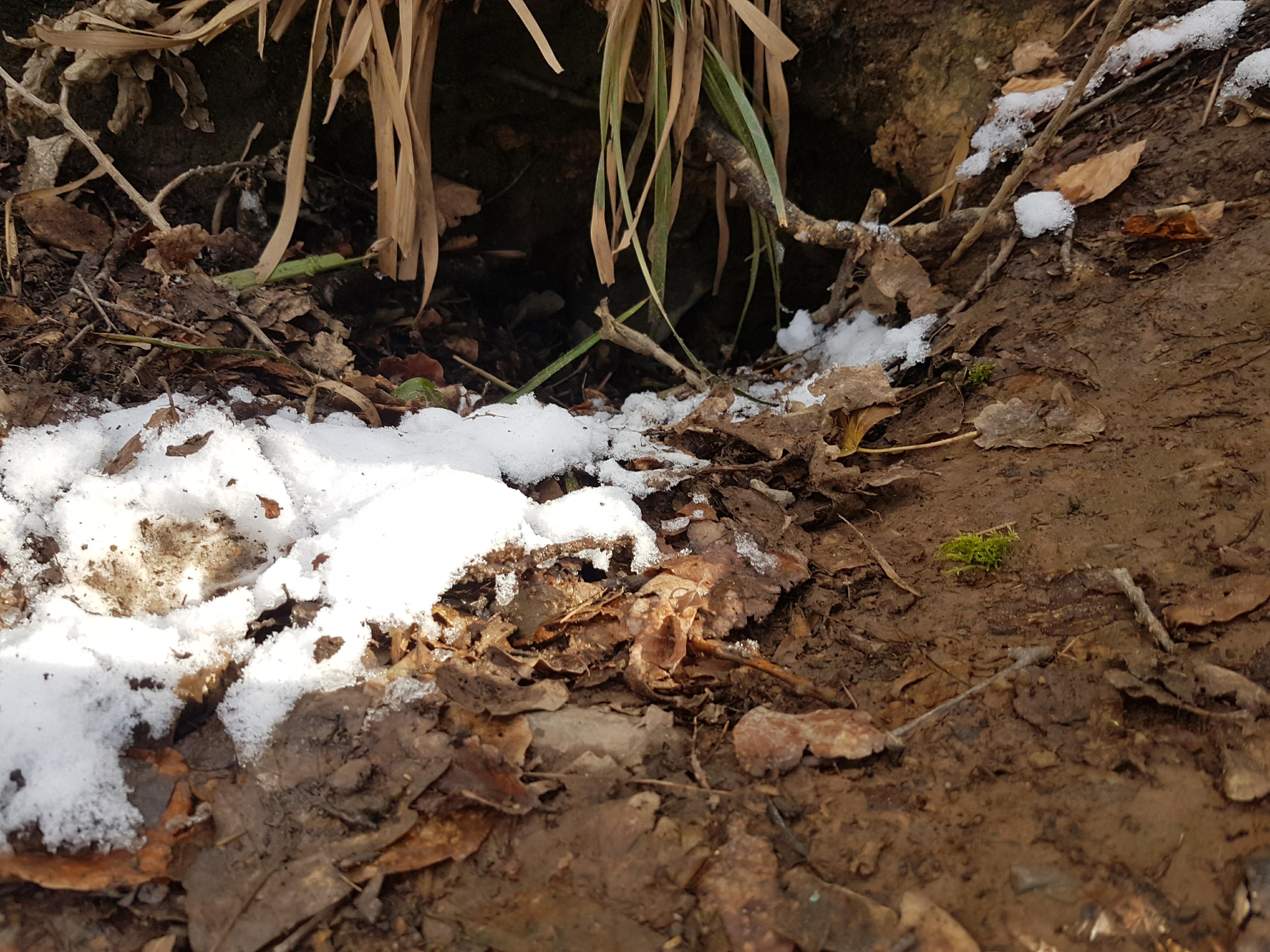 28944881_10156557308389505_189473858_o (1).jpg