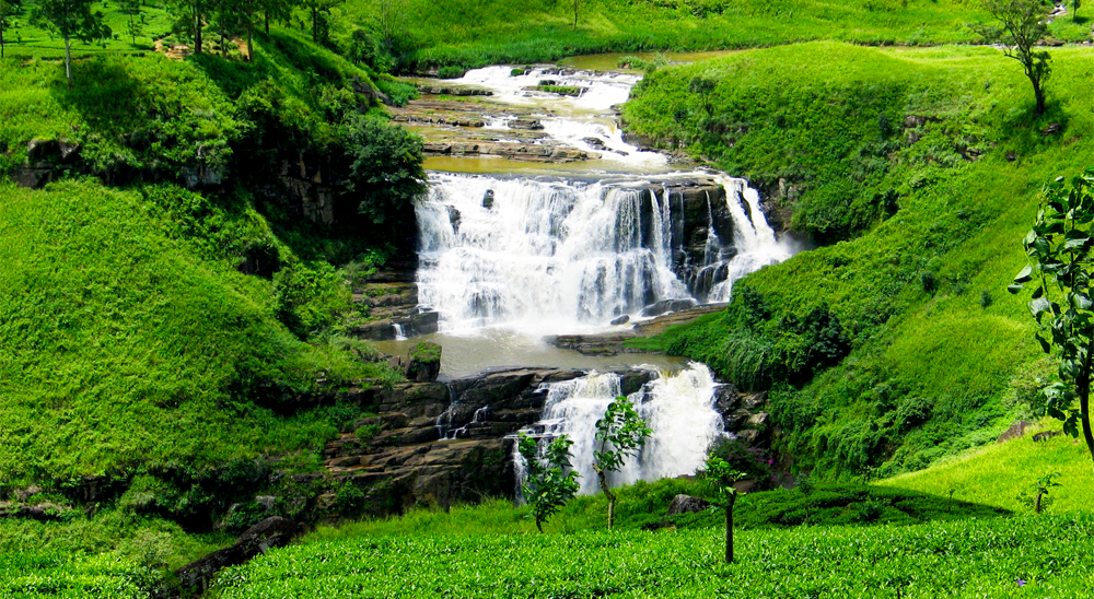 Nuwara-Eliya-Sri-Lanka.png