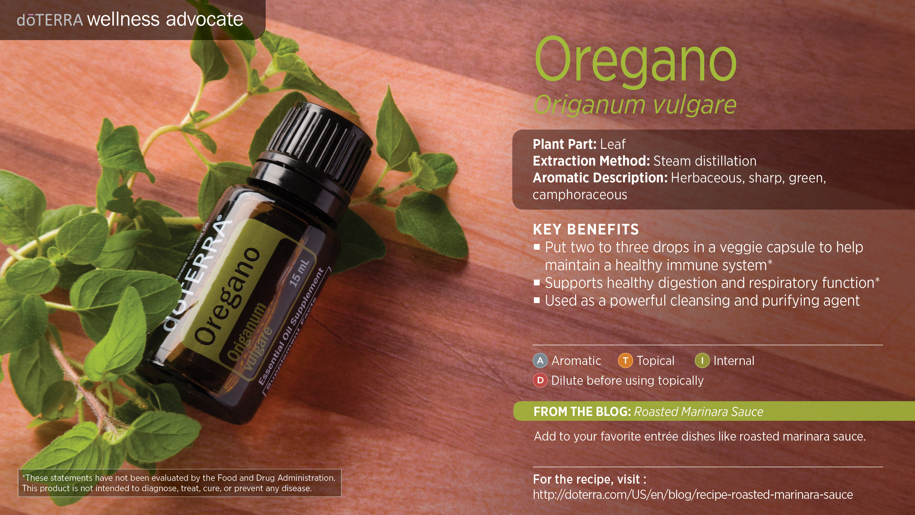 wa-oregano.jpg