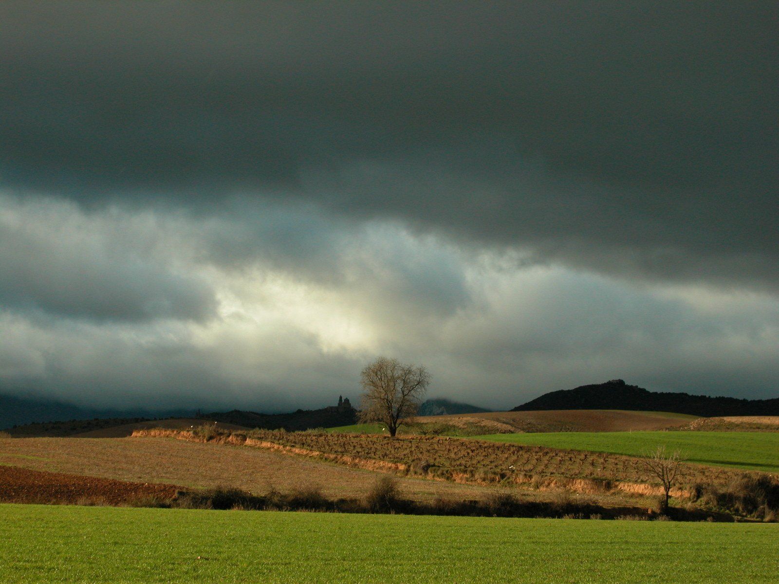 tree-and-cloudy-sky-in-norh-spain-1394281.jpg