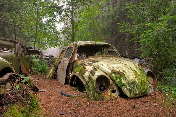 chatillon-car-graveyard-abandoned-cars-cemetery-belgium-1.jpg