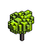 redmaple_sapling_summer.iso.png