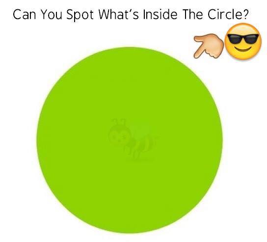 find bean.jpg