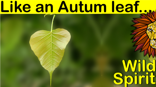 autumn leaf.png