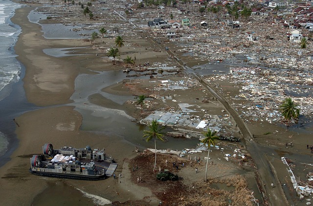 tsunami-67499_640.jpg