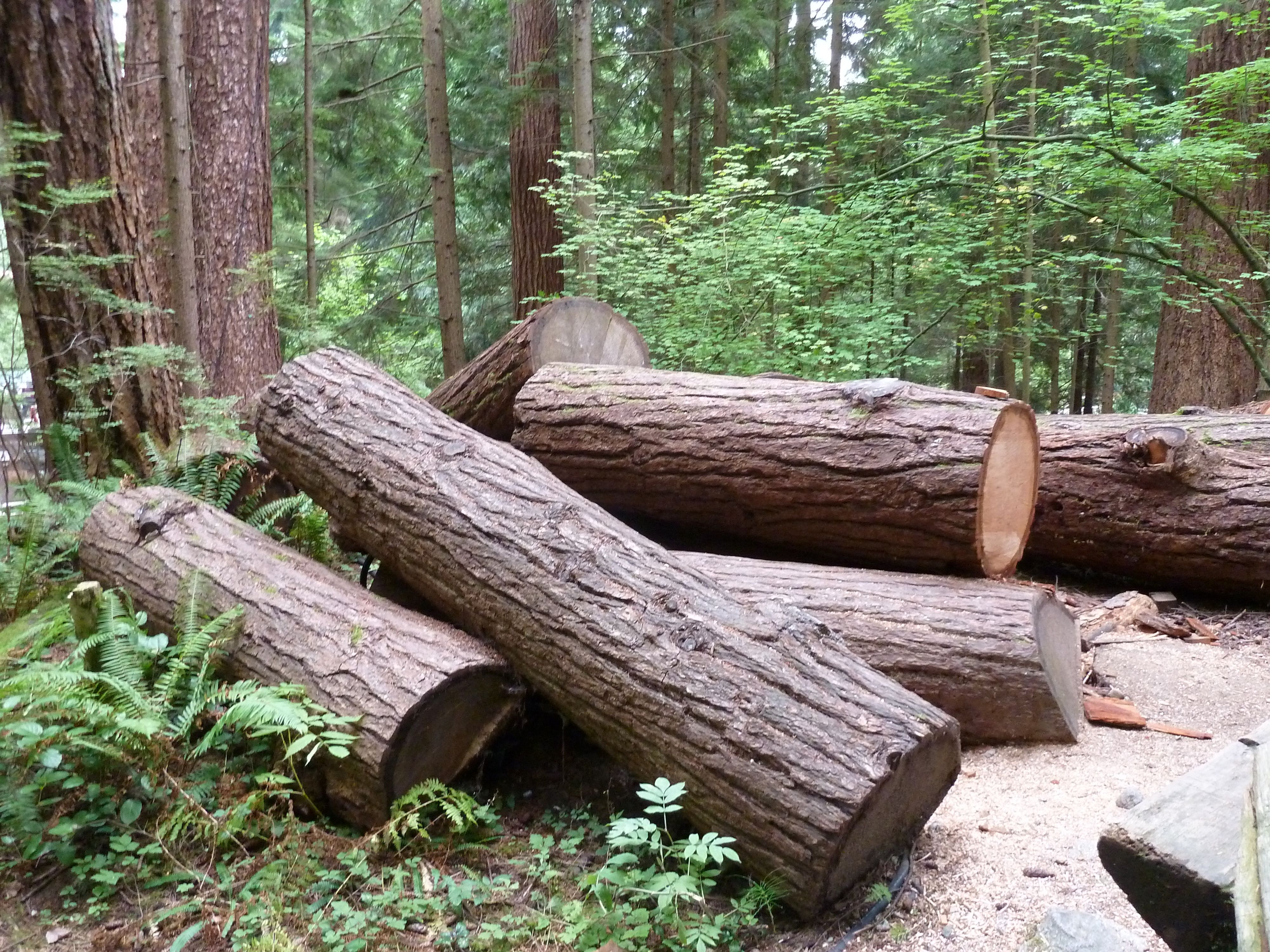 logs.jpg