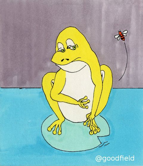 frog2_small.jpg