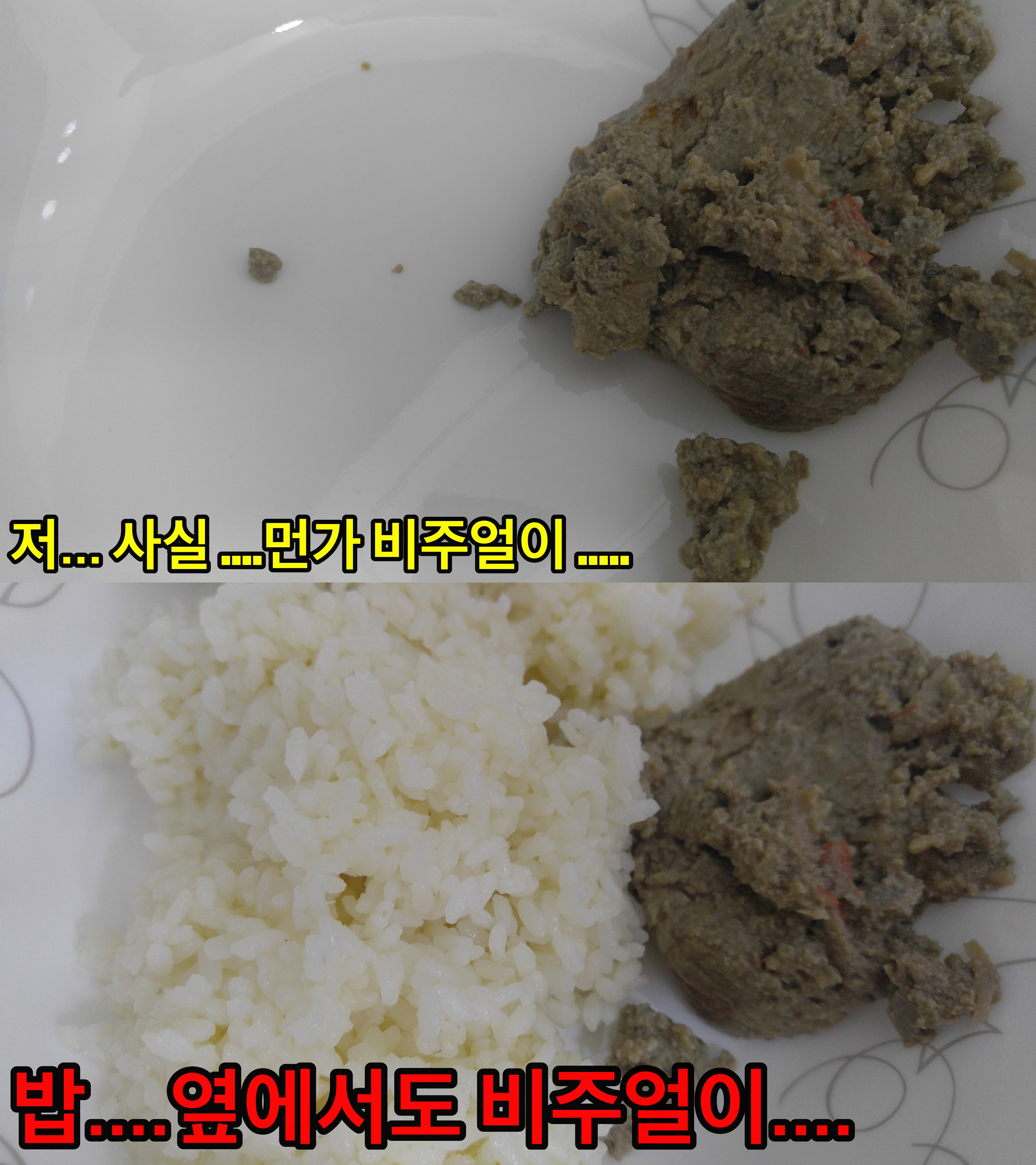 KakaoTalk_2017-08-23-23-24-42_Photo_18-down.jpg
