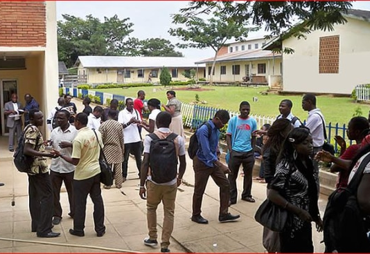 nigerian-students-1564419227-534x368(1).png