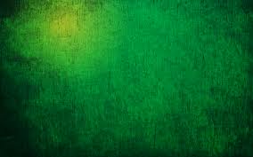 Green color.jpg