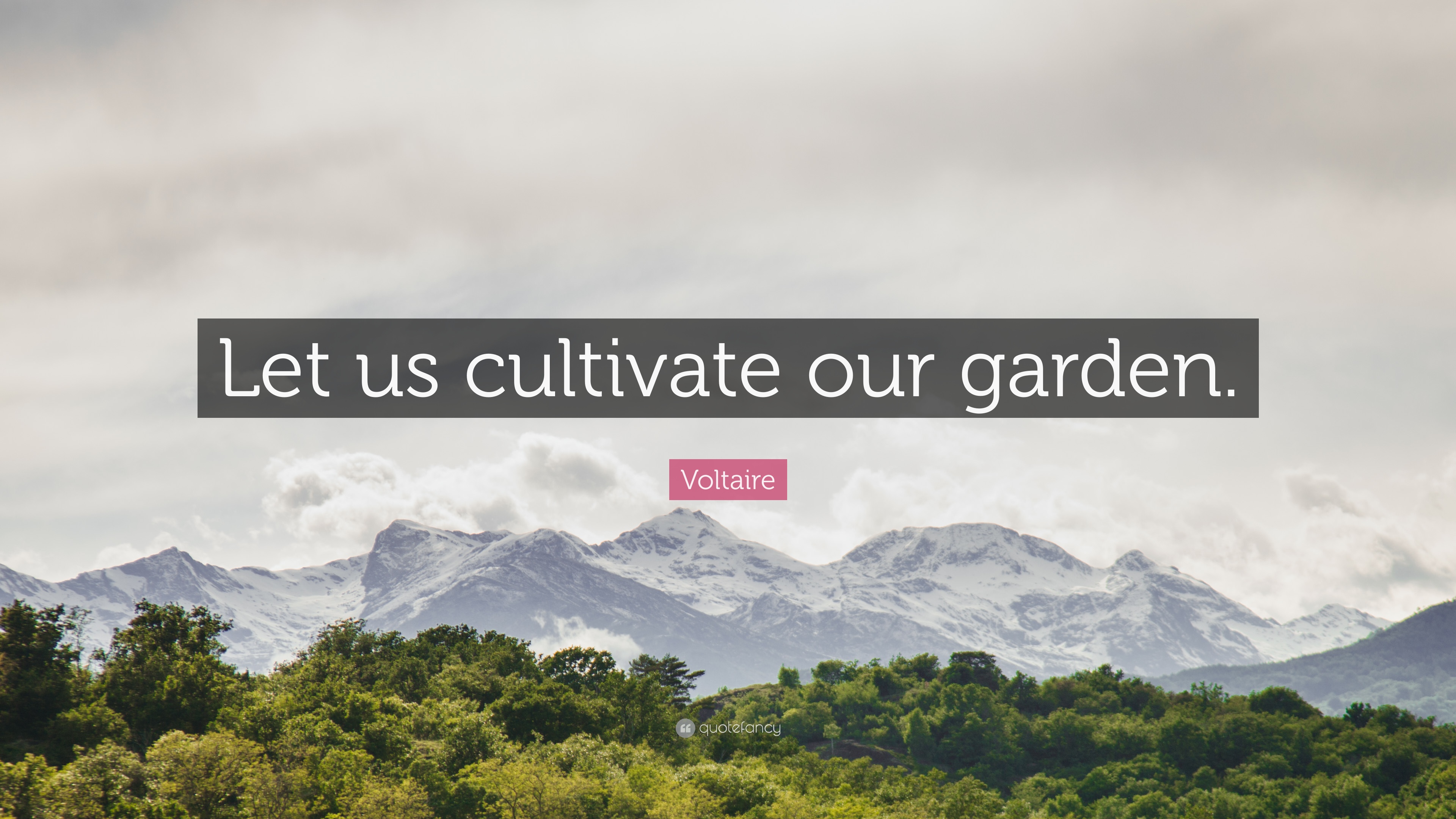 118153-Voltaire-Quote-Let-us-cultivate-our-garden.jpg