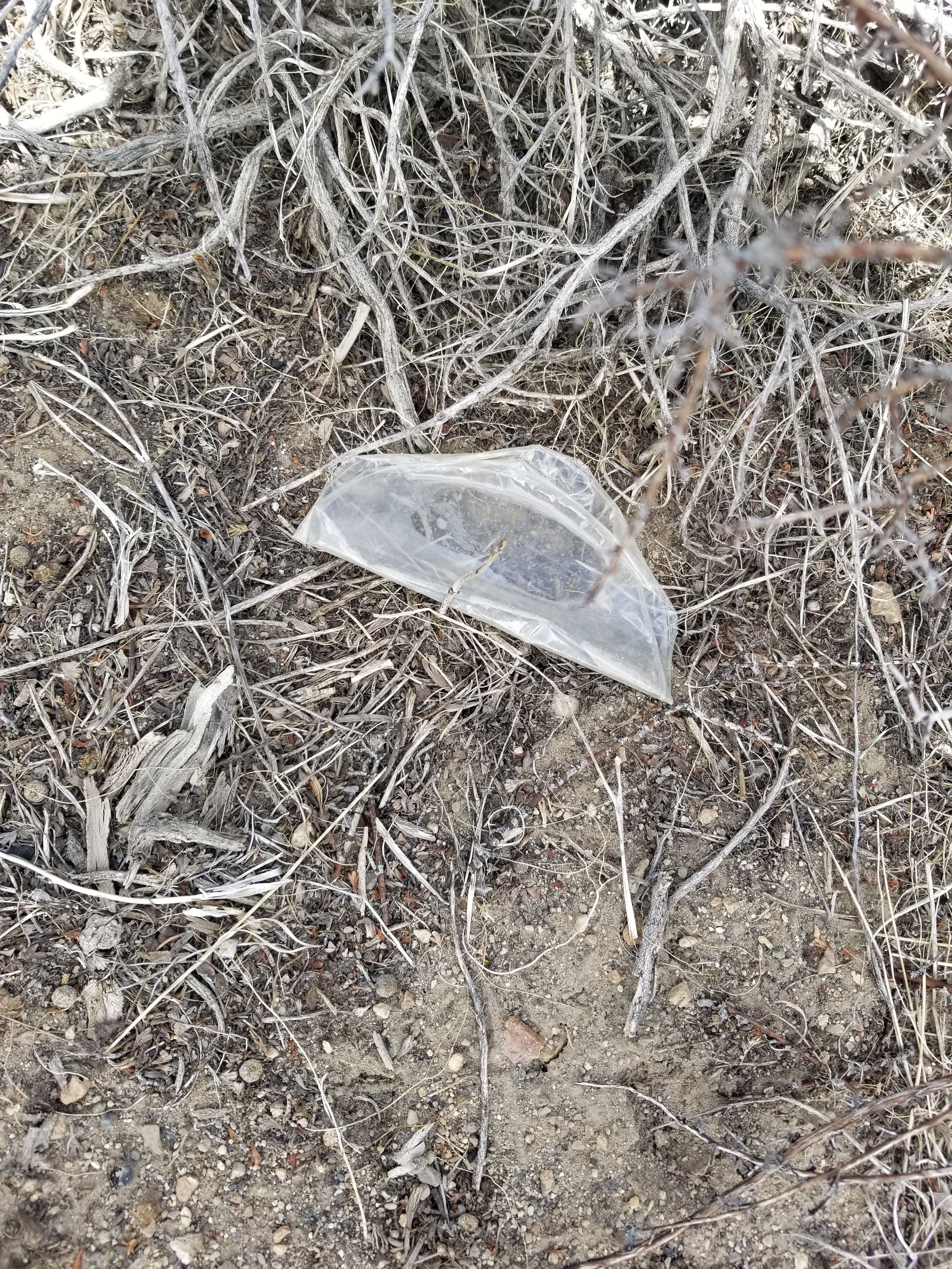 20180331_132452.jpg