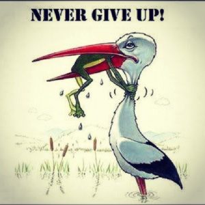 Never-Give-Up-2-300x300.jpg