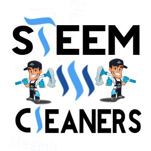 steem cleaner concept 2.jpg