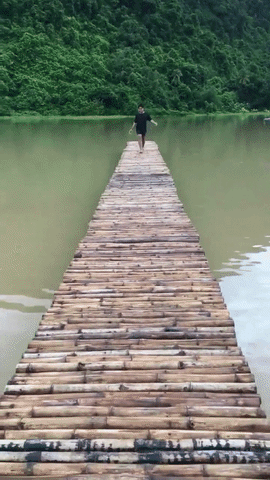 giphy-downsized-large (2).gif