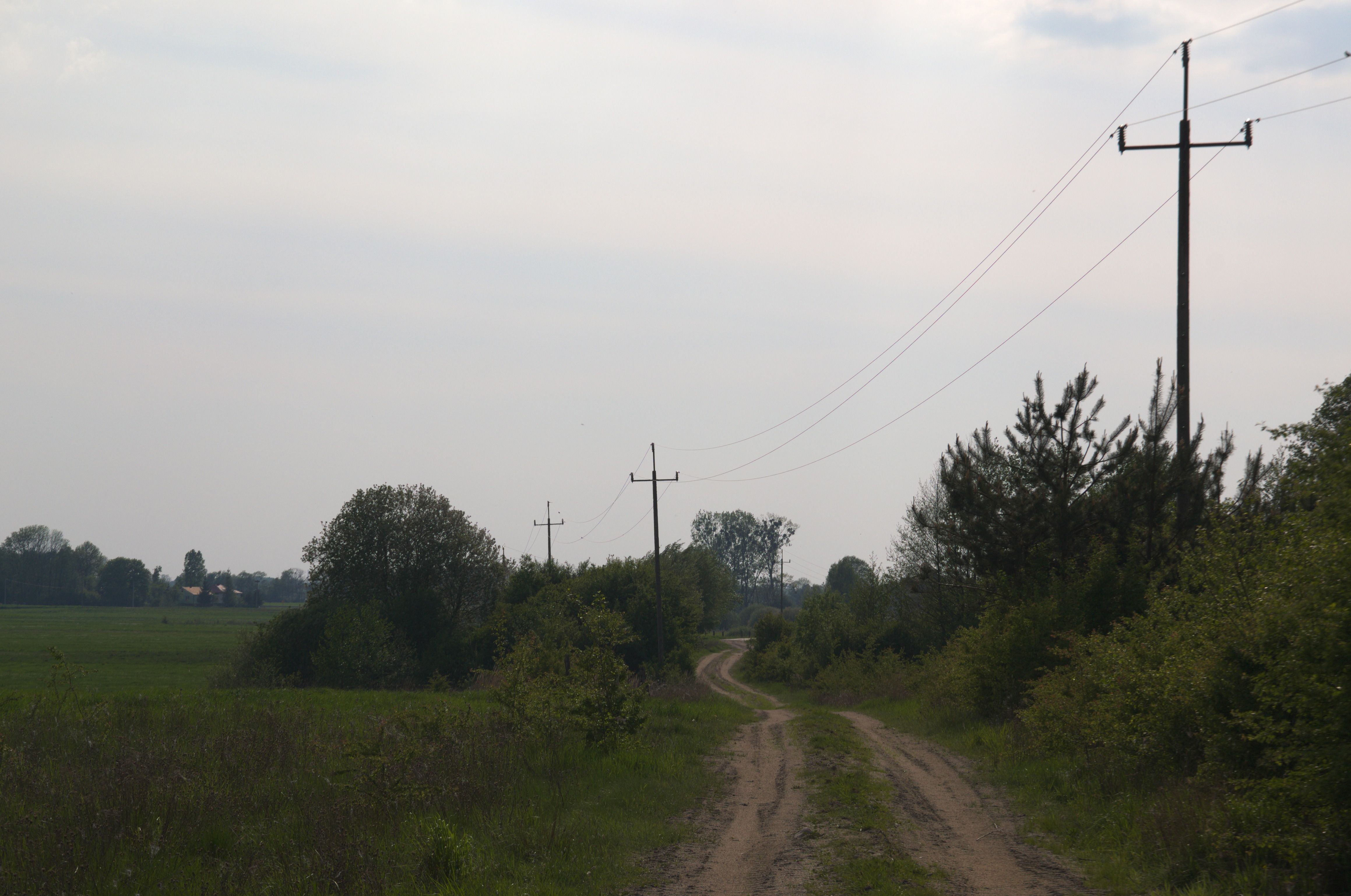 DSC_0618-1.jpg