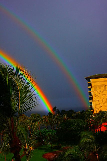 beautiful rainbows.jpg