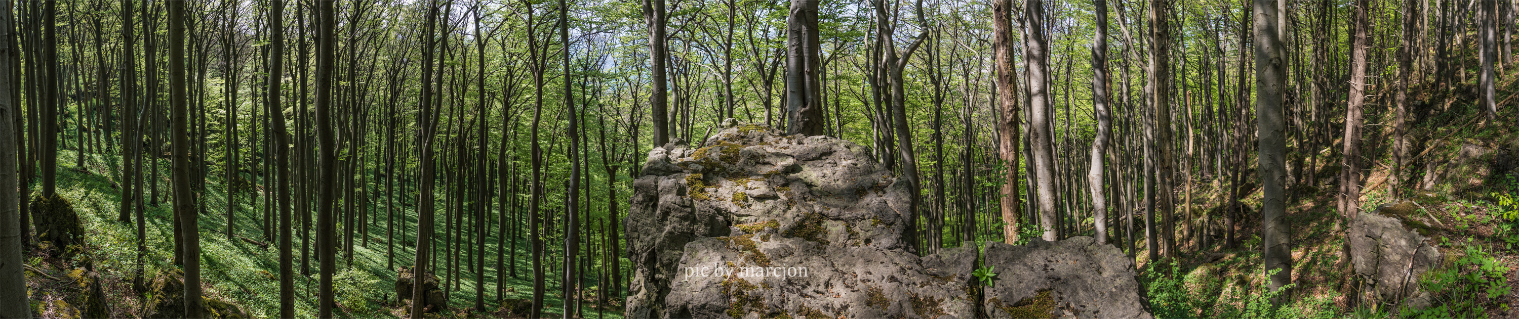 falkenstein2.jpg