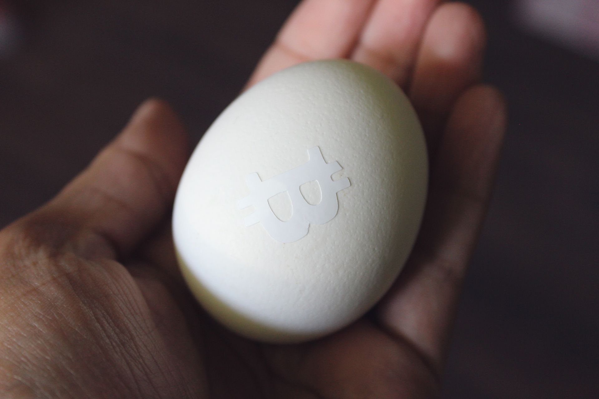 Crypto themed Easter Eggs — Steemit