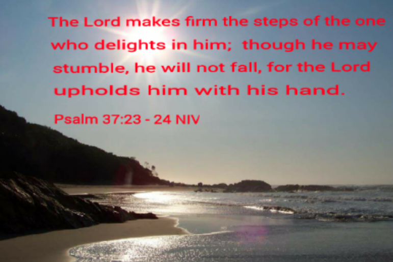 2018-01-17 11.37.18.png