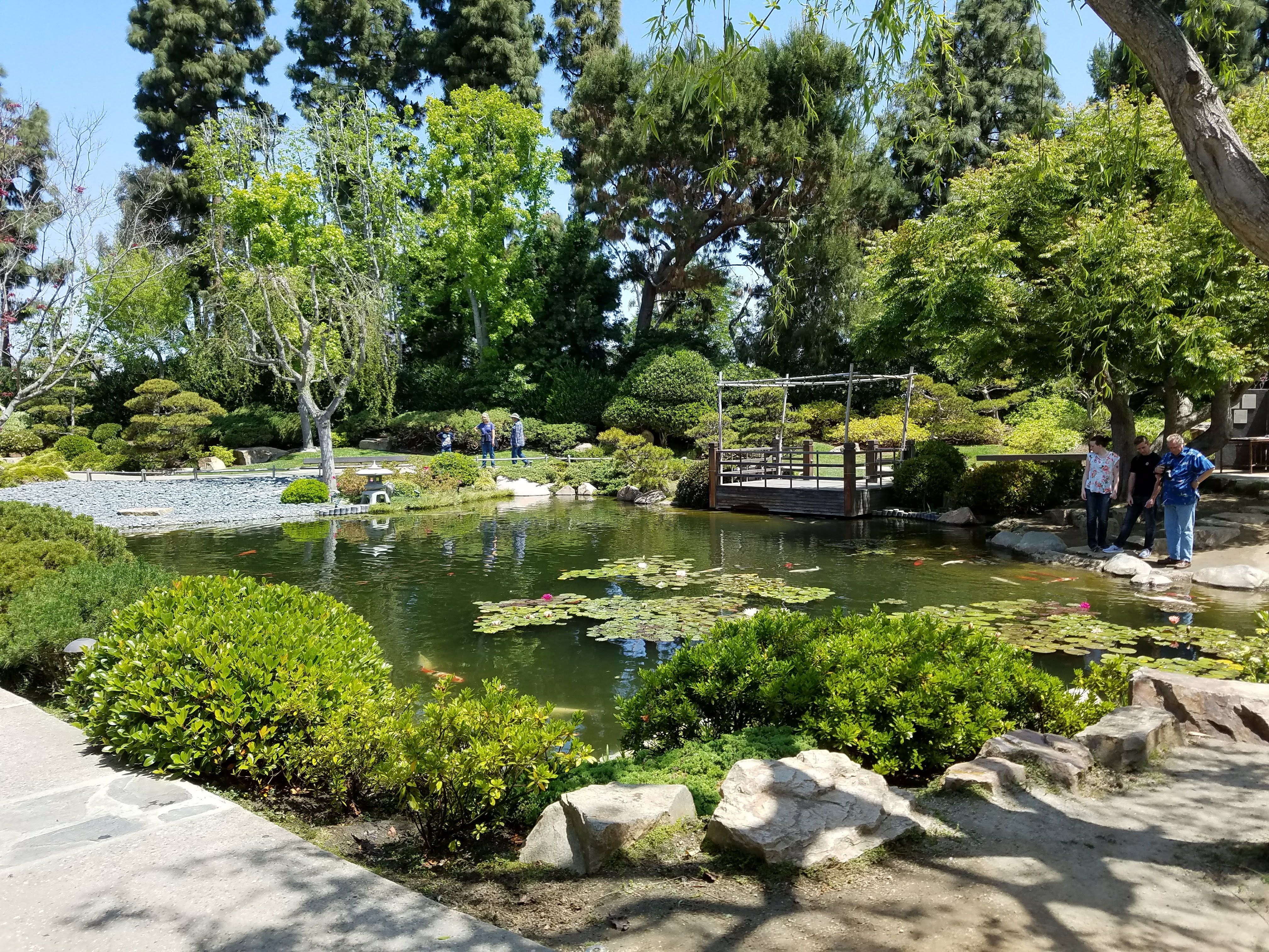 20180427_115940.jpg