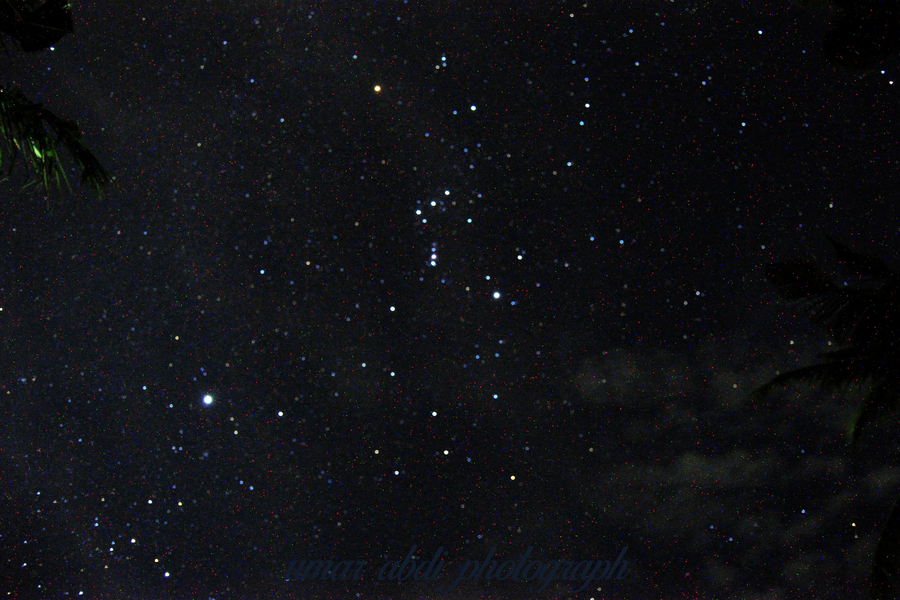 DSC_0042+.jpg