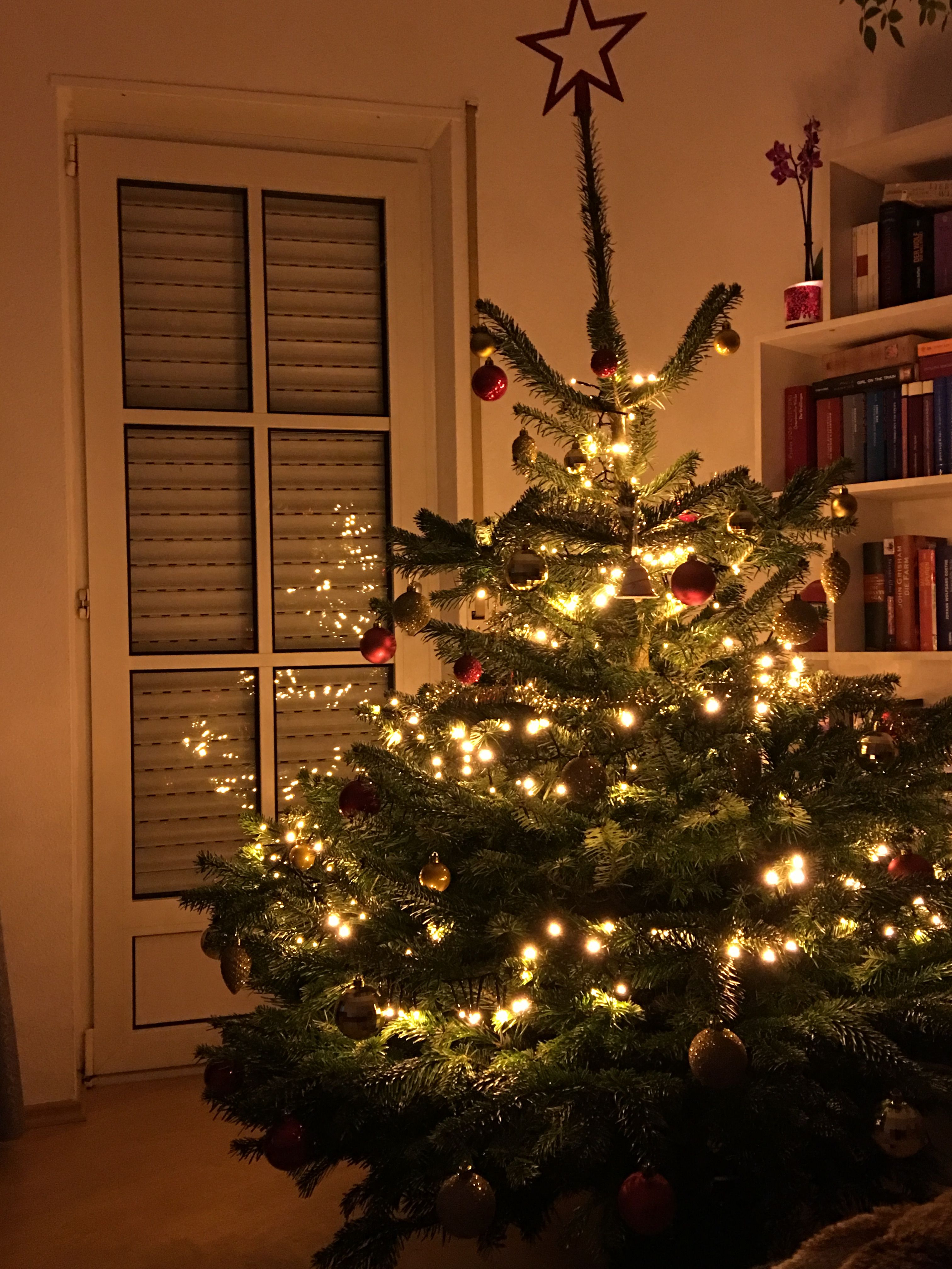 3AB72AD1-29C3-43DF-8431-DA634A98C1CE.jpeg