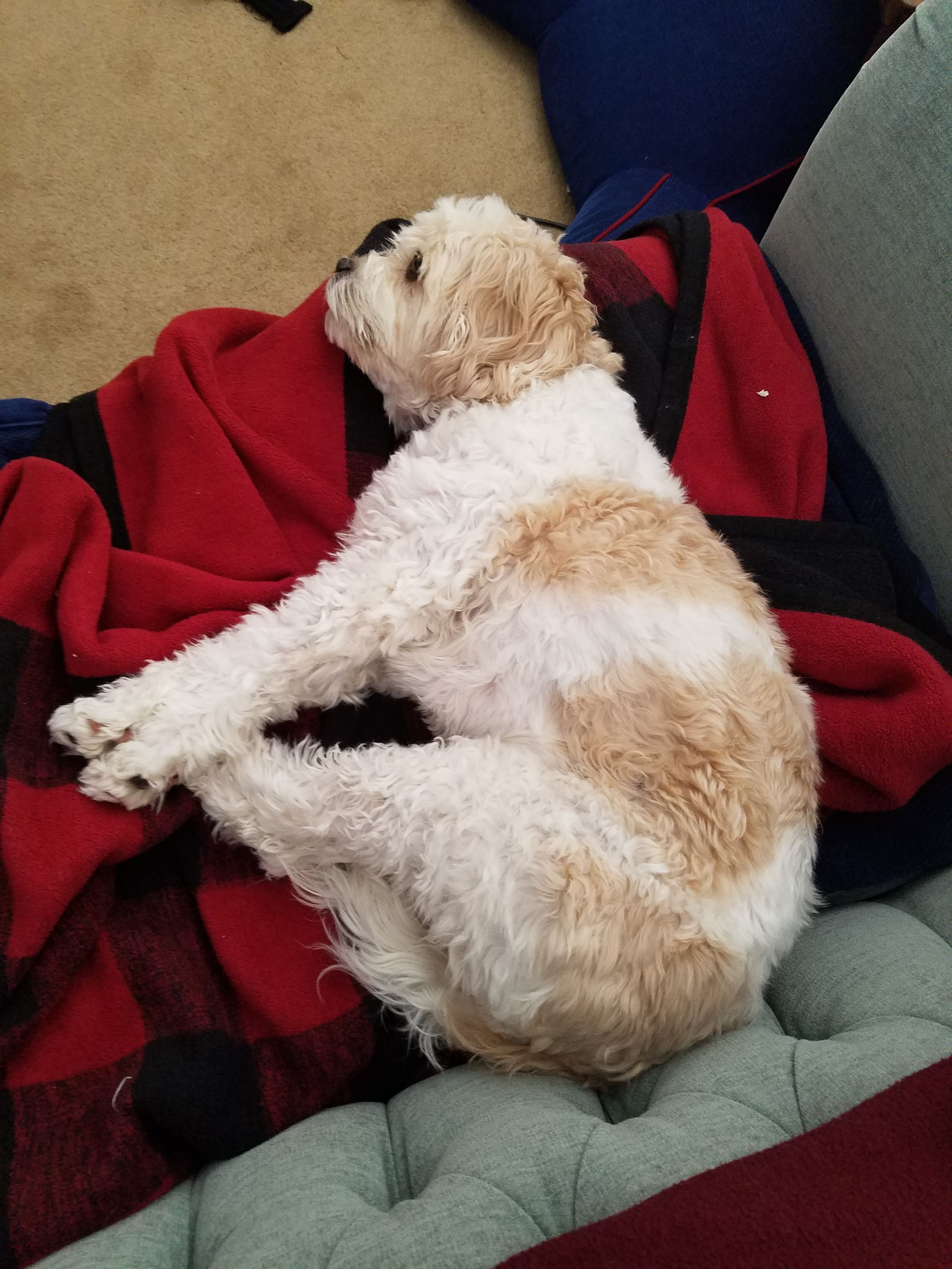 20180316_145144.jpg