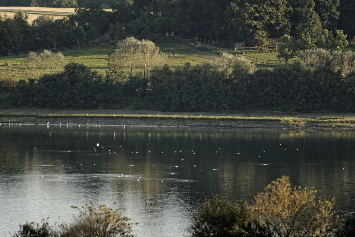 15282706815_acc0e6955f_o (FILEminimizer).jpg