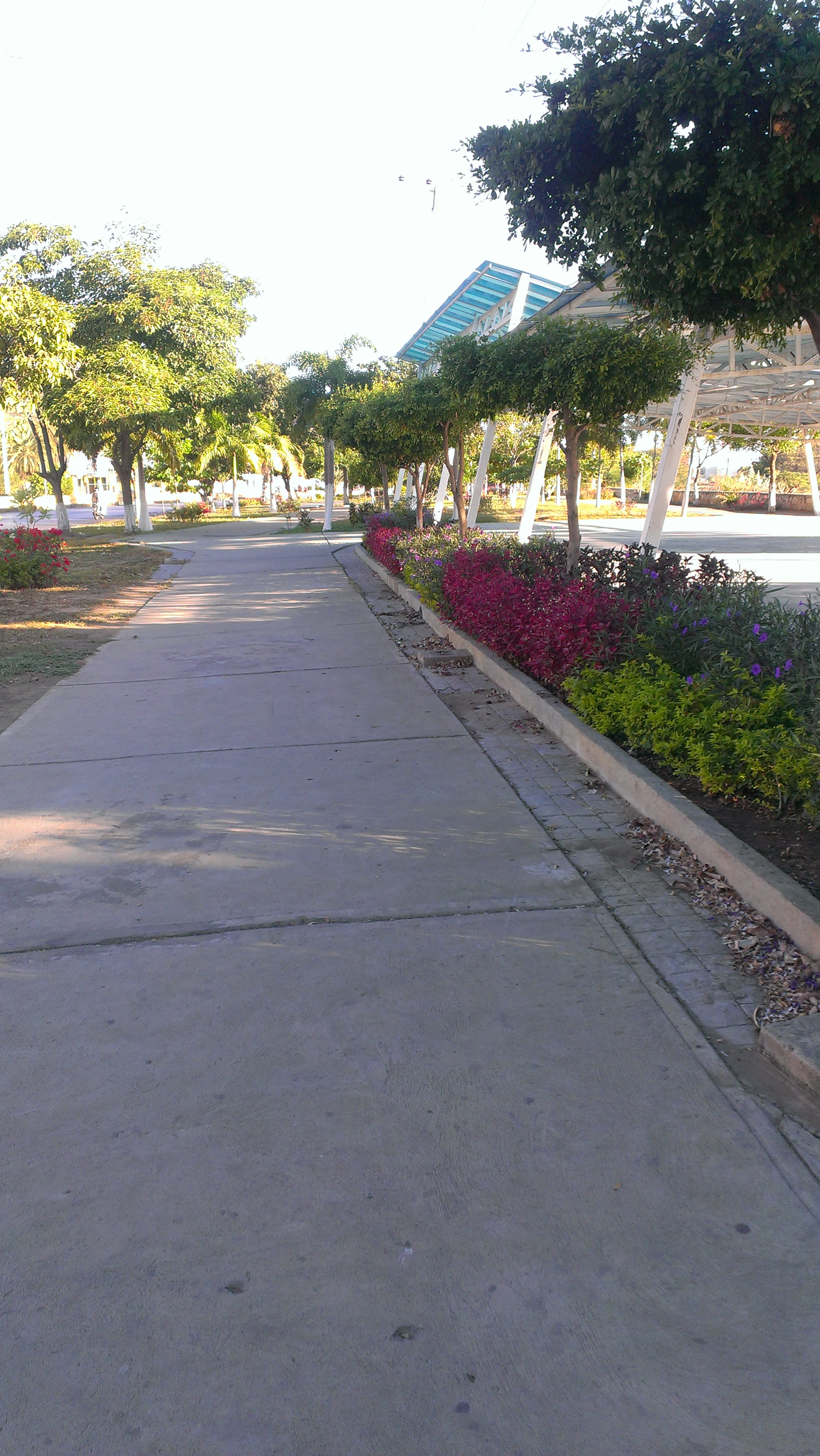 IMAG0300.jpg