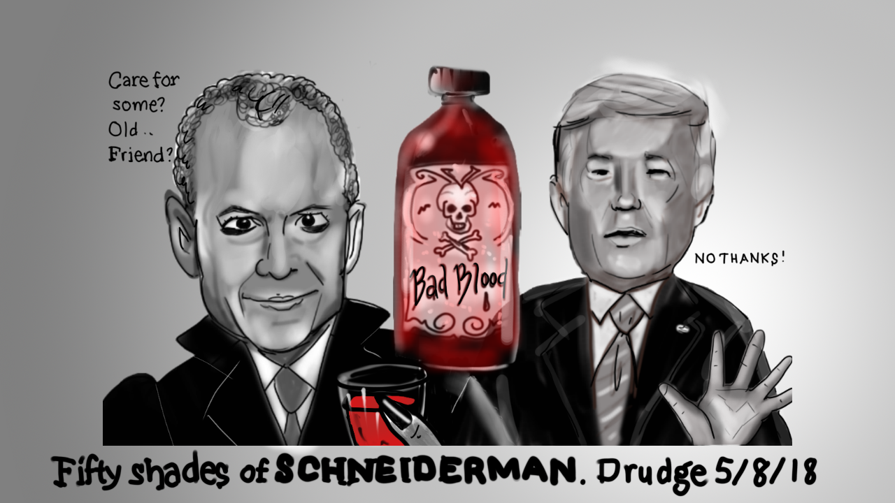 schneiderman trump.png