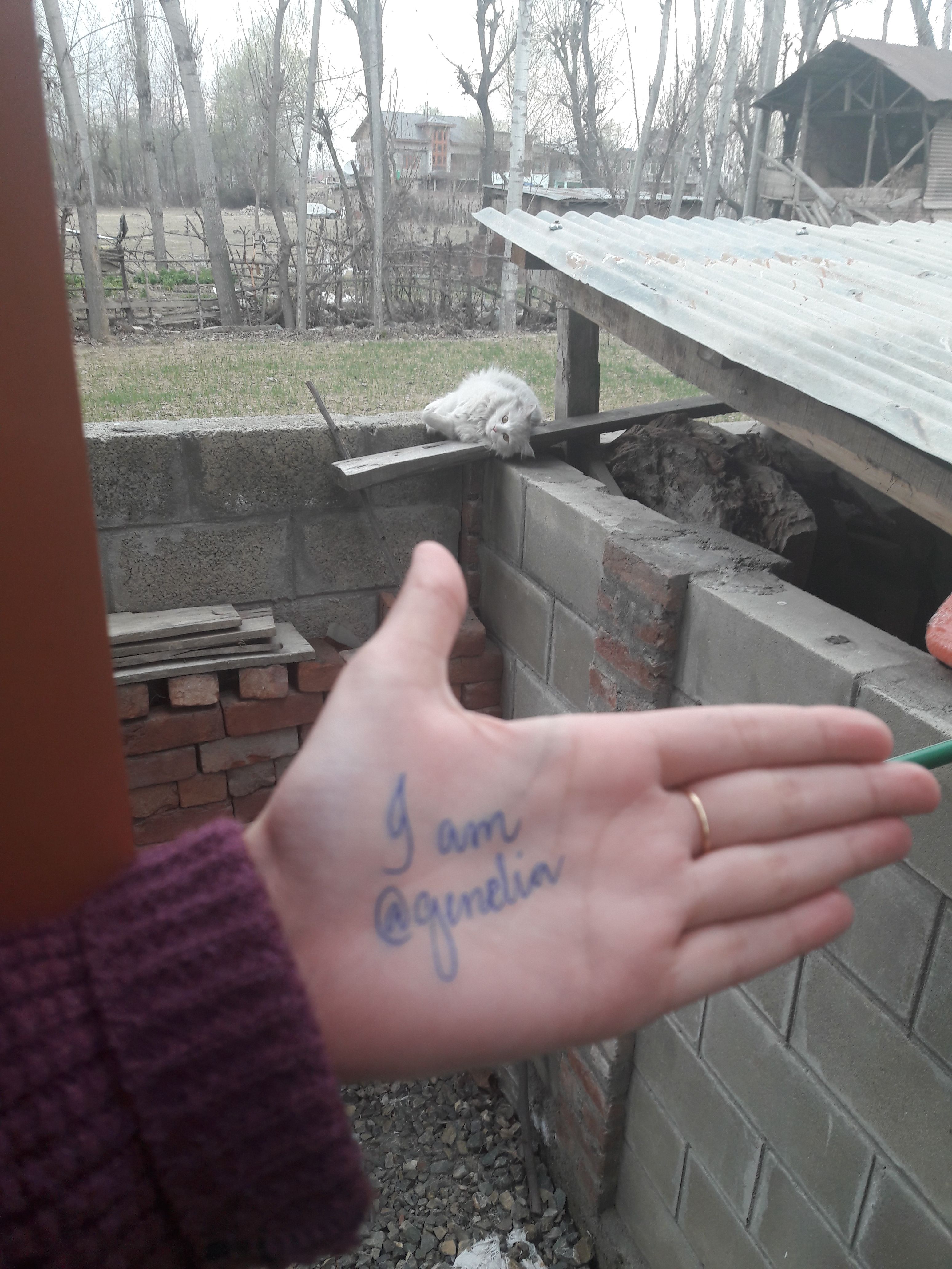20180308_165549.jpg