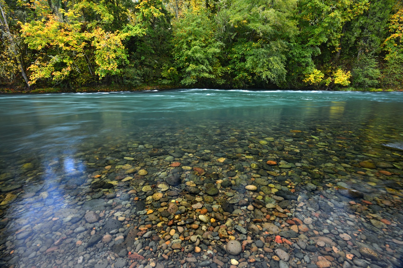 clean river in Oregon.jpg