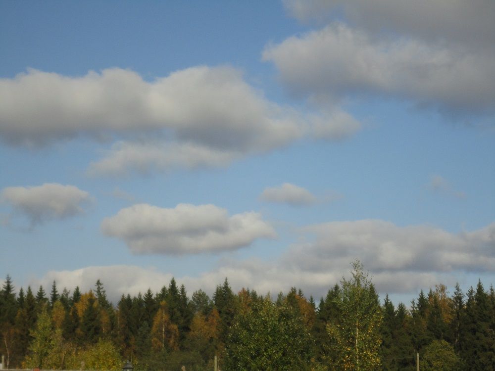 DSC01343.JPG