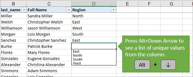 Alt-Down-Arrow-to-View-List-of-Unique-Values-from-Cells-in-Column.png