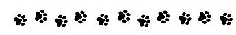 paws.jpg