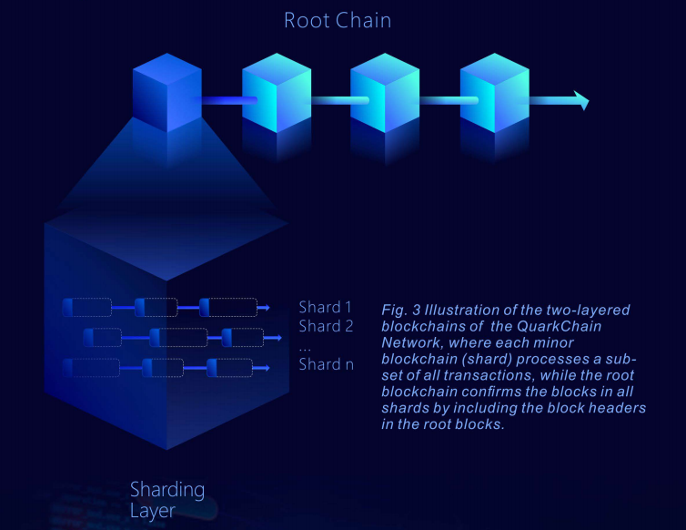 quarknetwork.png