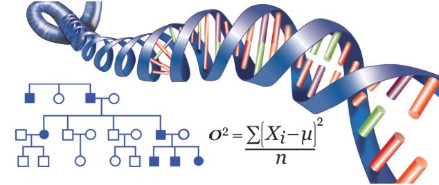 genetics final.JPG