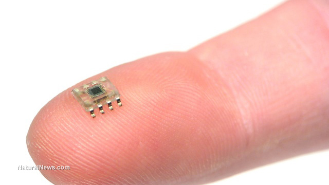 Microscopic-Tiny-Computer-Microchip.jpg