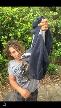 possum.jpg