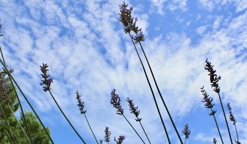 rsz_img_7303.jpg
